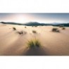 Mural STEFAN HEFELE SHX9-091 Vivid Dunes