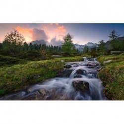 Mural STEFAN HEFELE SHX9-096 Wild Paradise