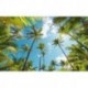 Mural STEFAN HEFELE SHX9-108 Coconut Heaven