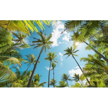 Mural STEFAN HEFELE SHX9-108 Coconut Heaven