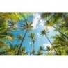 Mural STEFAN HEFELE SHX9-108 Coconut Heaven