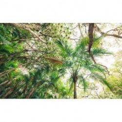 Mural STEFAN HEFELE SHX9-128 Touch The Jungle