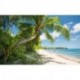 Mural STEFAN HEFELE TROPICAL SHX9-109 Fiji Dreams Boat