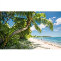 Mural STEFAN HEFELE TROPICAL SHX9-109 Fiji Dreams Boat