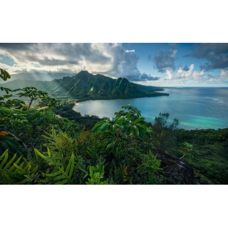 Fotomural STEFAN HEFELE TROPICAL SHX9-117 Jurassic Island