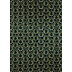 Fotomural STILL LIFE HX4-034 Paon Vert