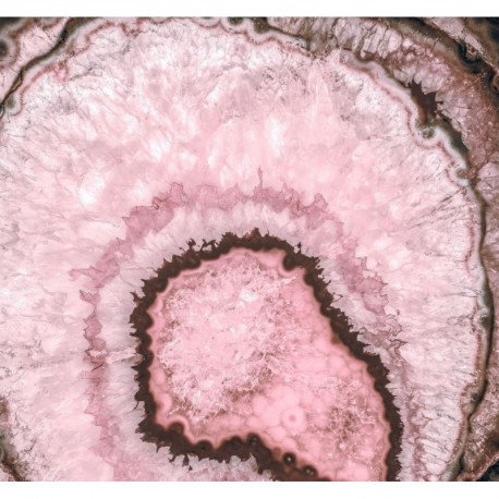 Fotomural STILL LIFE INX6-074 Geode