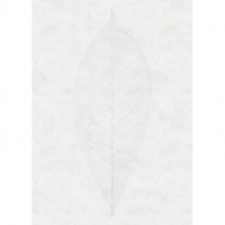 Mural STILL LIFE R2-012 Decent Leaf