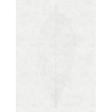 Fotomural STILL LIFE R2-012 Decent Leaf