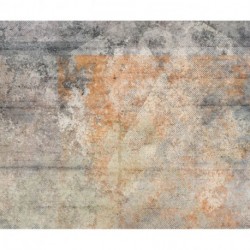 Fotomural TEXTURES 166-DV3 Surface