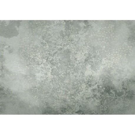 Fotomural TEXTURES IF4-085 Obfuscated Ornament