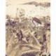 Fotomural TROPICAL 6031C-VD2 Fantasia Dark
