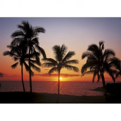 Fotomural TROPICAL 8-307 Hawaii