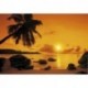 Mural TROPICAL 8-316 Sunset