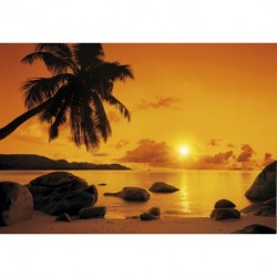 Fotomural TROPICAL 8-316 Sunset