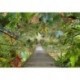 Mural TROPICAL 8-977 Wild Bridge