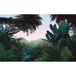 Fotomural TROPICAL LJX8-060 Jungle Morning