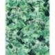 Fotomural TROPICAL P023-VD2 Evergreen