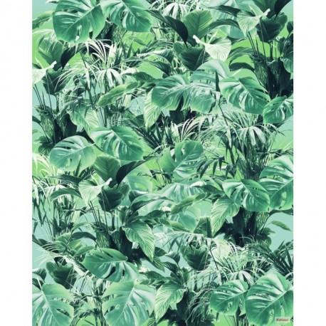 Fotomural TROPICAL P023-VD2 Evergreen