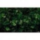 Mural TROPICAL P333-VD4 Tropical Wall