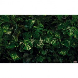 Mural TROPICAL P333-VD4 Tropical Wall