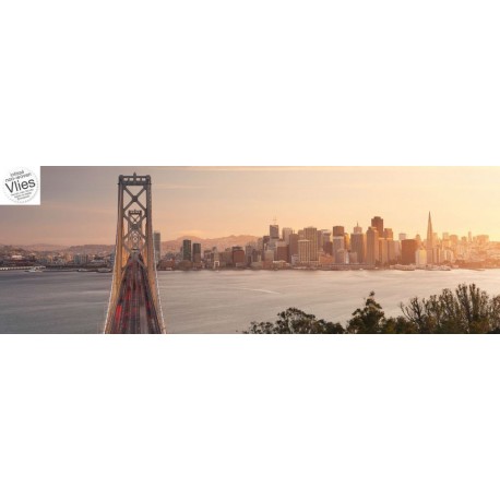 Fotomural URBAN XXL2-055 California Dreaming