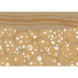 Fotomural WOOD AND STONES INX8-025 Subsoil