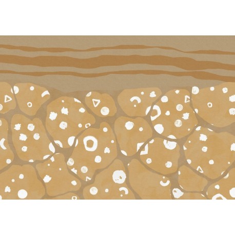 Fotomural WOOD AND STONES INX8-025 Subsoil