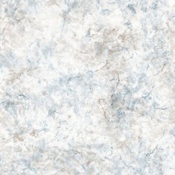 Papier peint BRUT M78501