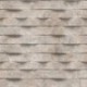 Wallpaper BRUT M79908