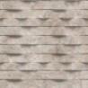 Papier peint BRUT M79908