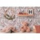 Papel Pintado LILLY & LUIS 771361