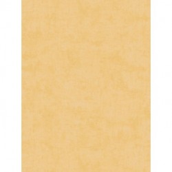 Papier peint LILLY & LUIS 771791