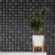 Wallpaper MINI TREND Z15524