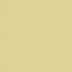 Papel Pintado REFLECT RE25105