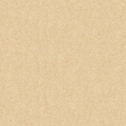 Papier peint SAVANA Z77521