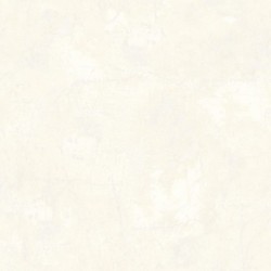Papier peint SAVANA Z77535
