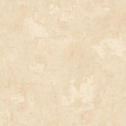 Papier peint SAVANA Z77538