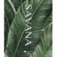 Wallpaper SAVANA Z77538