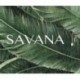 Papier peint SAVANA Z77546