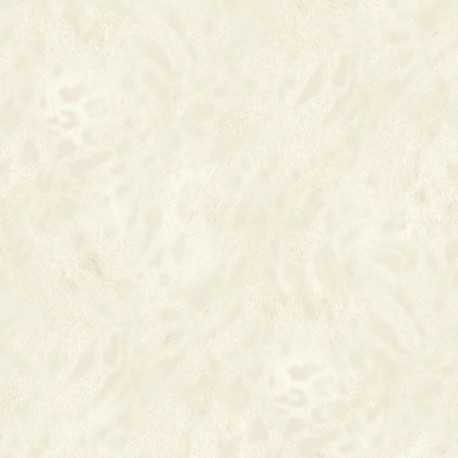 Papier peint SAVANA Z77547