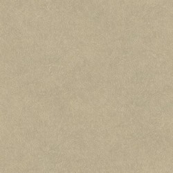 Papel Pintado TAHITI TA25021