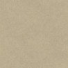 Papier peint TAHITI TA25021