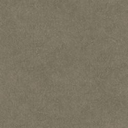 Papel Pintado TAHITI TA25024