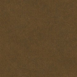 Papier peint TAHITI TA25026