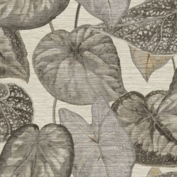 Wallpaper TAHITI TA25050