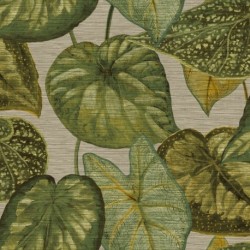 Wallpaper TAHITI TA25052