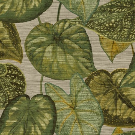 Papel de Parede TAHITI TA25052