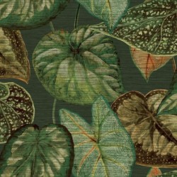 Wallpaper TAHITI TA25054
