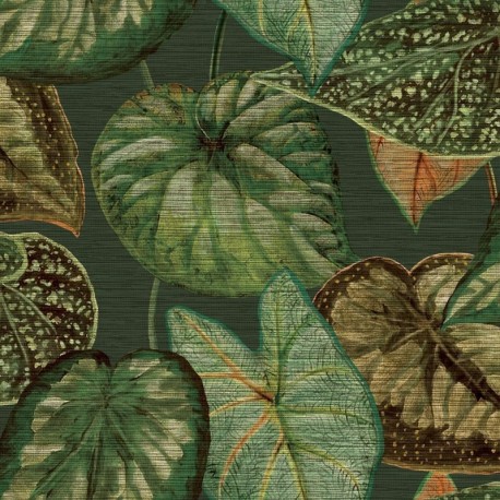Papel de Parede TAHITI TA25054